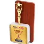 Small Metal Man Trophy With Star and Dual Wooden Stand