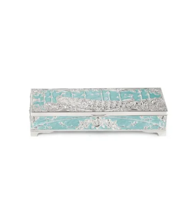 Peacock Dry Fruit Box 2 in 1 Sky Blue