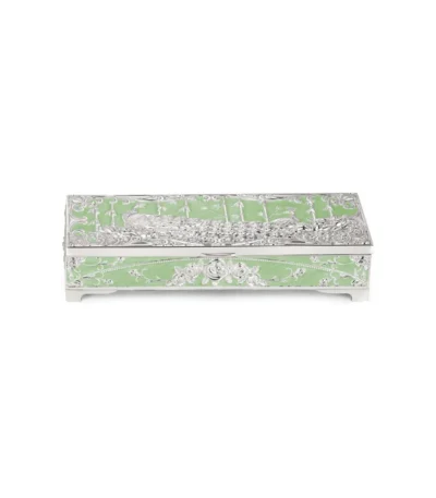Peacock Dry Fruit Box 2 in 1 Sky Green
